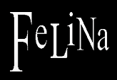 bras, panties, thongs, garter belts, Felina, corsets, Paramount,  magnolia, gelina, laurel, Victoria, Alexa, Tesa,  felina corsets, felina wedding corsets, chemise, full figure bras, Balconette contour bras