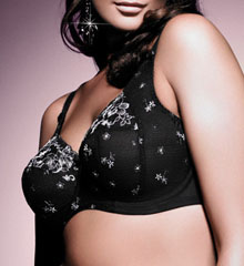 elomi_8020.jpg