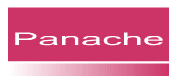 panache lingerie, panache, bras, panties, thongs, superbra, briefs, body thong, suspenders