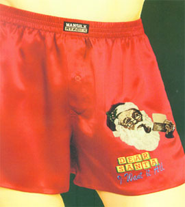 santa_boxer.jpg