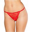 Shirley of Hollywood Scalloped Embroidery Lace Crotchless Thong