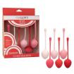 Kegel-Training-Set-Strawberry-350-1