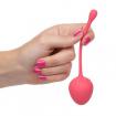 Kegel-Training-Set-Strawberry-350-4