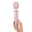 le-wand-petite-rechargeable-massager-2-350x350