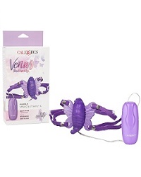 Venus-Butterfly-2-250