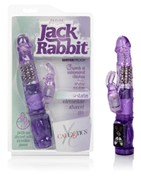 petite jack rabbit